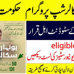 Can 10th Class Students Apply for the Honhaar Scholarship Program in Punjab?