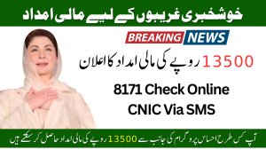 Ehsaas Program CNIC Check Online 13500 New Payment Updates