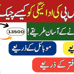 Check BISP Payment Status on Mobile