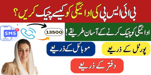 Check BISP Payment Status on Mobile