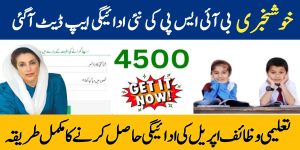 BISP New Qist Update Today