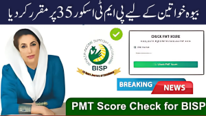 Benazir Income Support Programme Keeps PMT Score Fixed