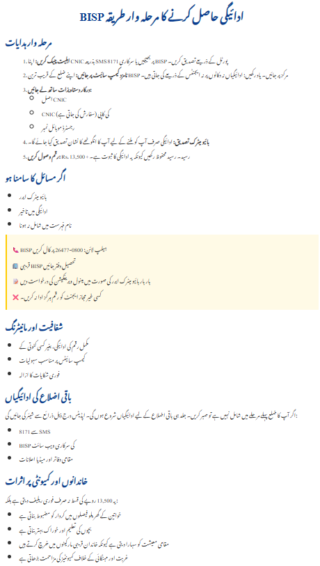 BISP 8171 2025 Update