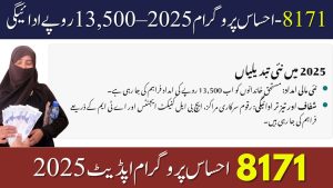 8171 Ehsaas Program Online CNIC Eligibility Check Guide