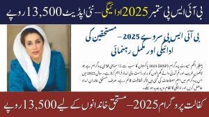 BISP Survey 2025 Beneficiary Payments