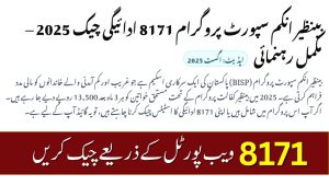 BISP 8171 Payment Check