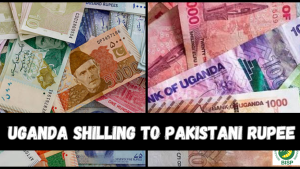 Uganda Shilling (UGX) To Pakistani Rupee (PKR)