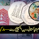 UAE Dirham (AED) to Pakistani Rupee (PKR)